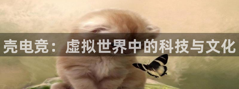 乐竞电竞青训基地：壳电竞：虚拟世界中的科技与文化