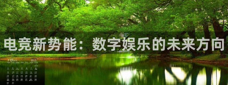 乐竞电竞实训中心收费标准：电竞新势能：数字娱乐的未来方向