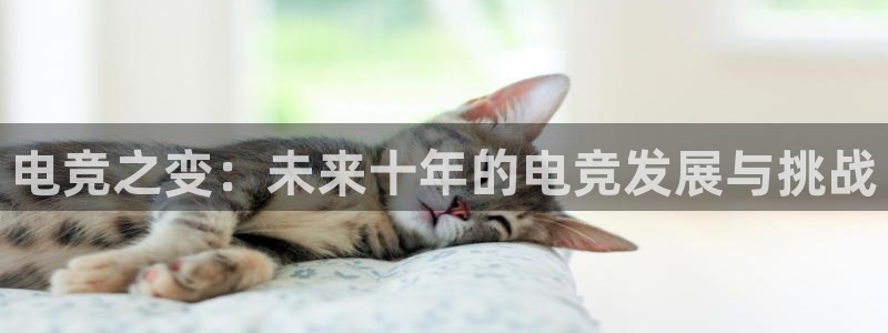乐竞电竞：电竞之变：未来十年的电竞发展与挑战