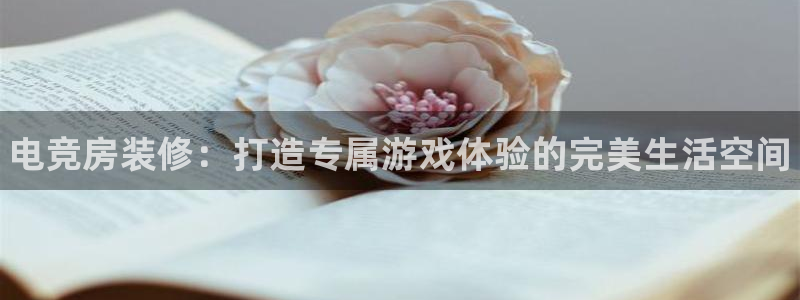 乐竞电竞学院怎么样：电竞房装修：打造专属游戏体验的完美生活空间