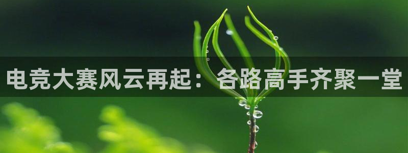 乐竞电竞实训中心收费标准：电竞大赛风云再起：各路高手齐聚一堂