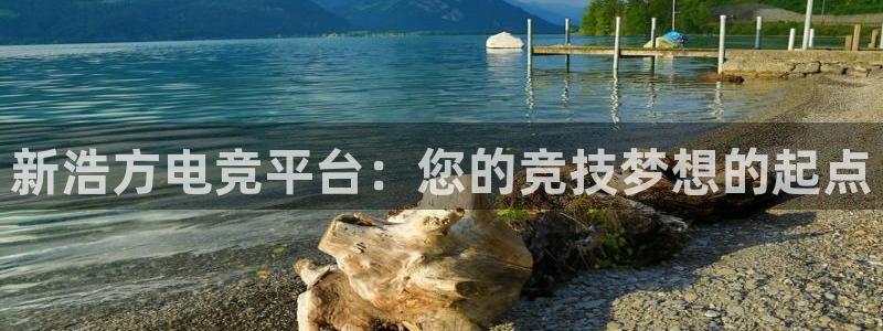 乐竞电竞实训中心收费标准：新浩方电竞平台：您的竞技梦想的起点