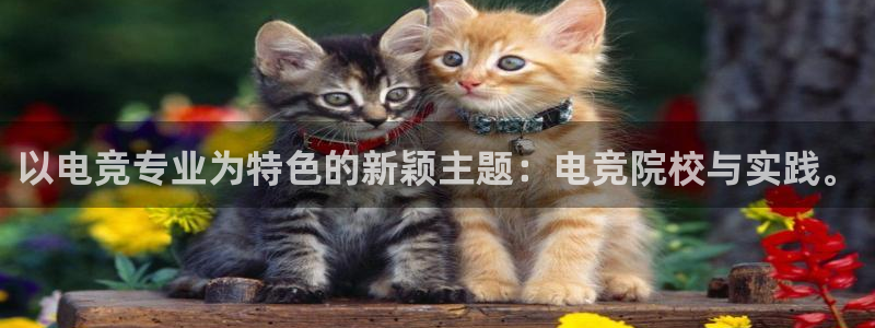 乐竞电竞青训基地：以电竞专业为特色的新颖主题：电竞院校与实践。