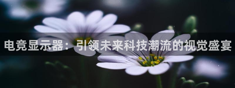 乐竞电竞实训中心收费标准：电竞显示器：引领未来科技潮流的视觉盛宴