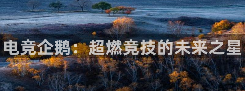 乐竞电竞app官方入口下载：电竞企鹅：超燃竞技的未来之星