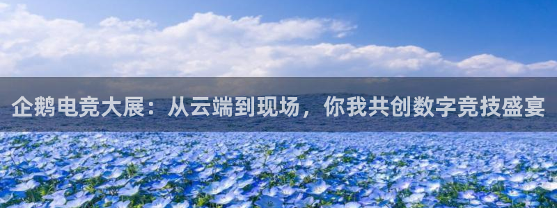 成都乐竞电竞青训基地：企鹅电竞大展：从云端到现场，你我共创数字竞技盛宴