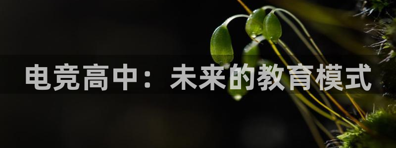 乐竞电竞青训基地：电竞高中：未来的教育模式