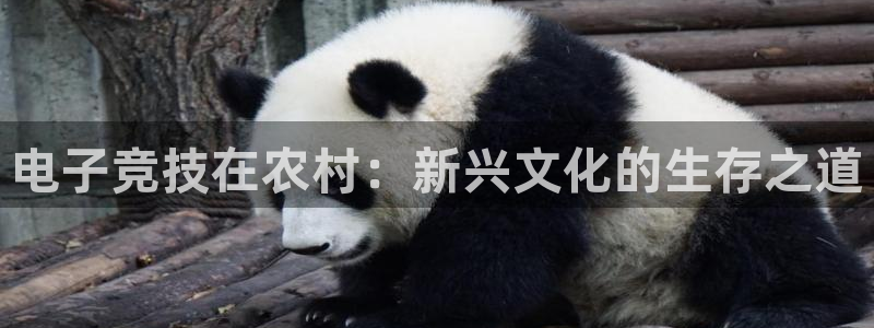 乐竞电竞官网首页：电子竞技在农村：新兴文化的生存之道
