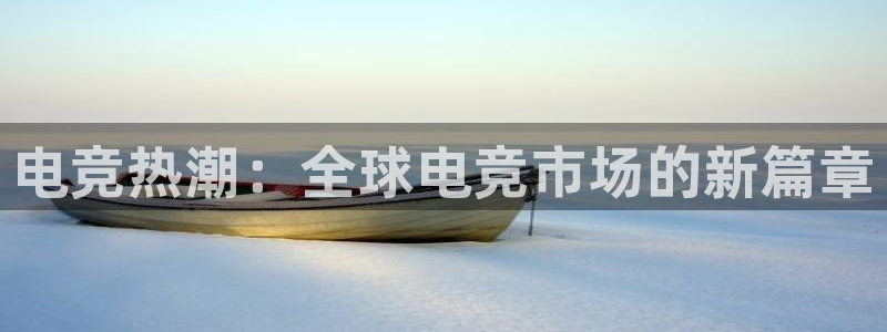 乐竞电竞学院怎么样：电竞热潮：全球电竞市场的新篇章