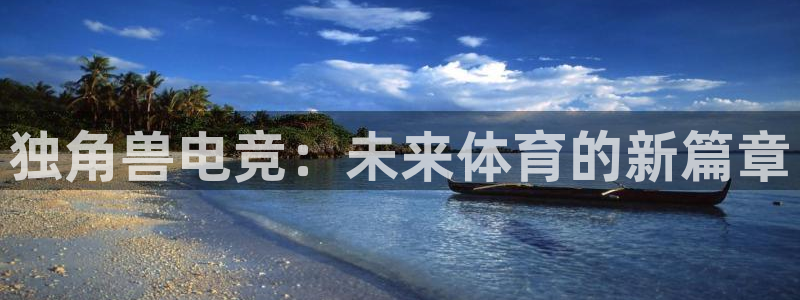 乐竞电竞竞猜：独角兽电竞：未来体育的新篇章