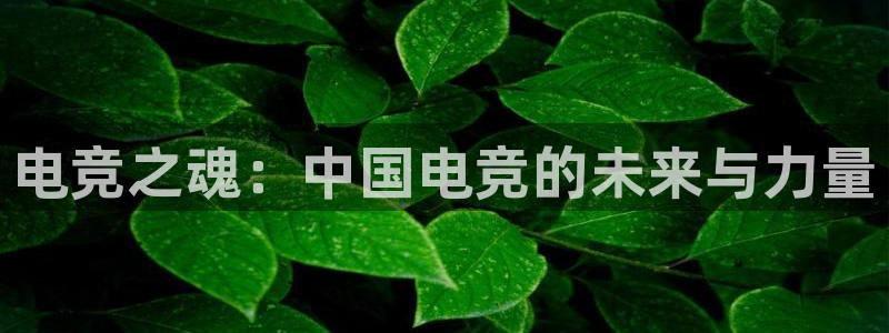 乐竞电竞平台：电竞之魂：中国电竞的未来与力量