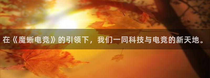 乐竞电竞体育官网：在《魔蜥电竞》的引领下，我们一同科技与电竞的新天地。